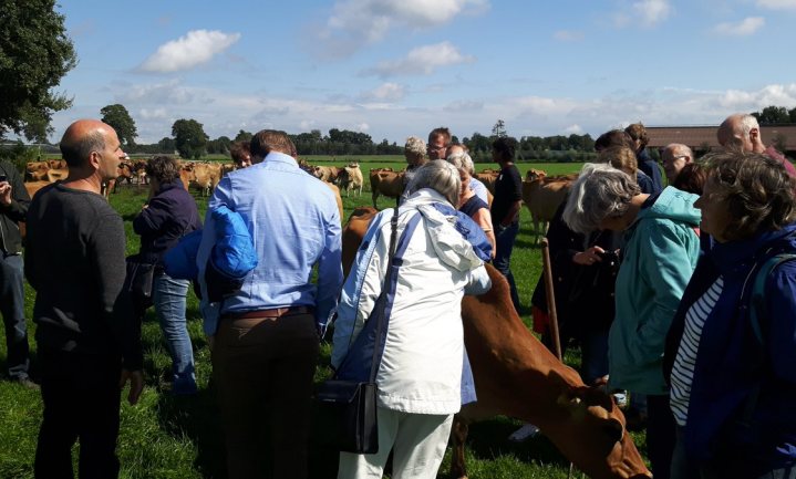 Het redelijkste alternatief als nieuw normaal