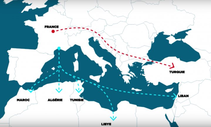 L214 toont slacht Franse runderen in Turkije en Libanon