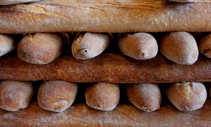 Nieuwe tarwe groeit op oud brood