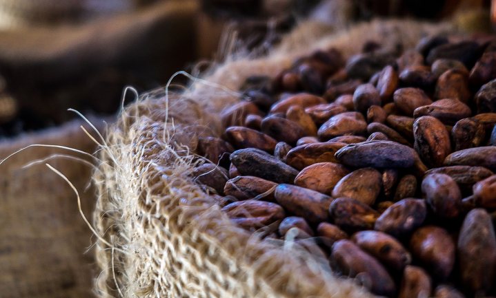 Illegale cacao in chocolade van grote merken