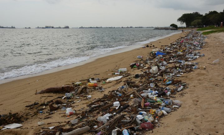 ‘Duurzaamheid bio-plastics genuanceerd verhaal’