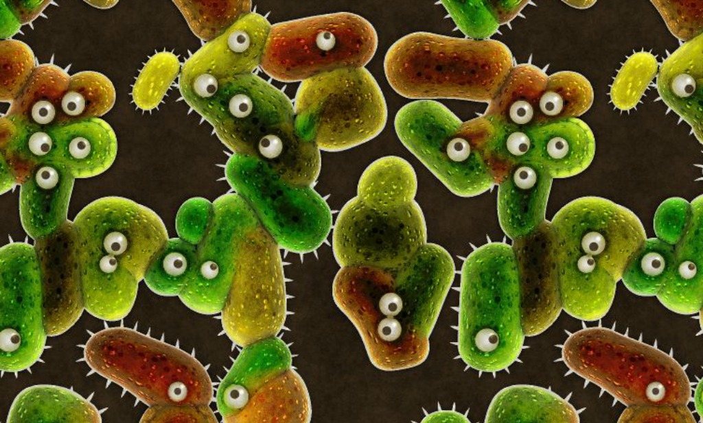 antibiotica en darmflora